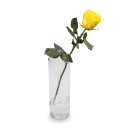 Bouquet of yellow roses